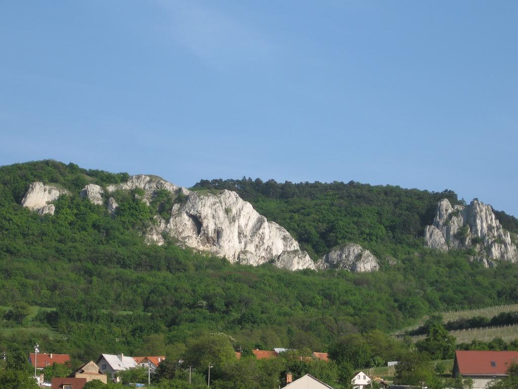 Penzion Bouquet Horni Vestonice Exterior photo
